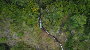 Kosta Rika 'da kayalık orman arazisinden inen yüksek, dar şelale havası..