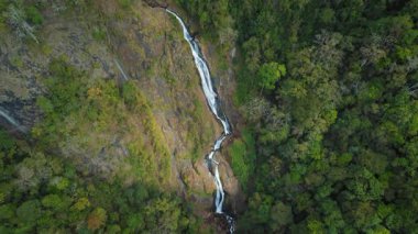 Kosta Rika 'nın verimli ormanlarındaki kayalık arazide çağlayan uzun şelalenin insansız hava aracı görüntüsü.