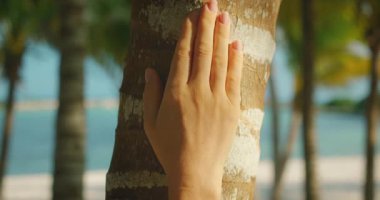 El, arka planda deniz olan tropik sahilde palmiye ağacının gövdesine hafifçe dokunur..