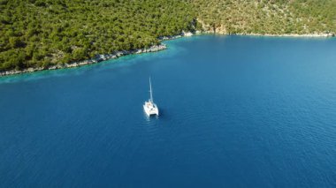Güneşli yaz gününde, kayalık yeşil kıyı şeridinde yüzen katamaran havası..