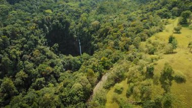 Kosta Rika yağmur ormanlarında sık ağaçlar ve kırsal bölgelerle çevrili bir orman şelalesinin havadan görünüşü.
