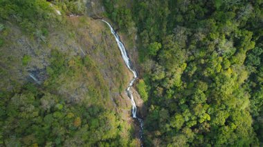 Kosta Rika 'nın her zaman yeşil olan ormanında kayalık yamaçtan dökülen uzun segmentli şelale..