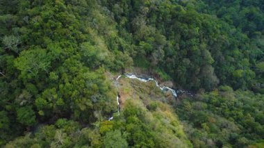 Kosta Rika bölgesindeki Bijagua kanyonundan uzun ve dar bir şelale akıyor..