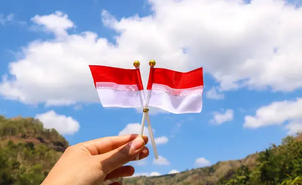 Tepeler ve mavi gökyüzü manzaralı iki kırmızı ve beyaz Endonezya bayrağı tutan eller. Mini bayrak elinde dalgalanıyor