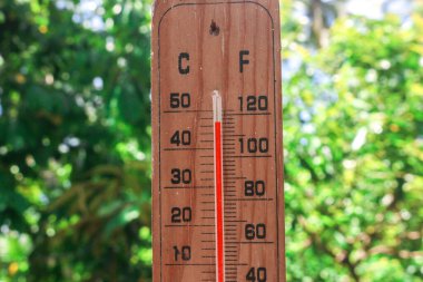 Celsius ve Fahrenheit termometresi Asya 'da gün ortasında arkada ağaçlarla birlikte artı 30 derece olduğunu gösteriyor. Termometre, yazın 40 derecenin üzerinde sıcaklık gösteriyor.