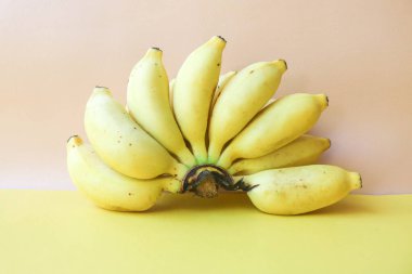 Sarı arka planda izole edilmiş taze olgun bebek muz. Bir sıra sarı olgun muz.