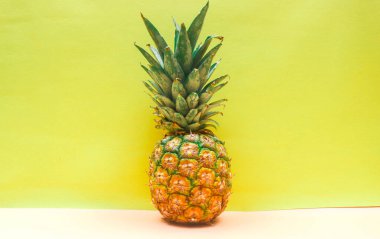 Sarı arka planda olgun ananas Honi Sunpride ve mesaj için boş alan. Ananasla yapılmış yaratıcı sarı ve krem desenli. Düz uzanmış ananas.