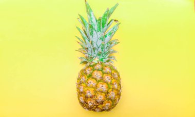 Sarı arka planda olgun ananas Honi Sunpride ve mesaj için boş alan. Ananasla yapılmış yaratıcı bir düzen. Düz uzanmış ananas.
