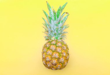 Sarı arka planda olgun ananas Honi Sunpride ve mesaj için boş alan. Ananasla yapılmış yaratıcı bir düzen. Düz uzanmış ananas.