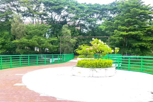 Akşamüstü UGM Bilgelik Parkı 'nda renkli bitkiler ve nehir manzaralı..