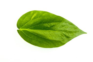 Yukarıdan çekilmiş düz bir fotoğrafta beyaz bir arkaplanda izole edilmiş bir betel yaprağı.