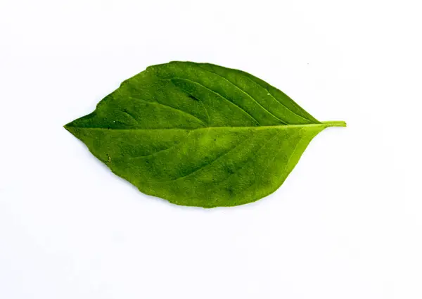 Beyaz arka planda izole edilmiş bir amber yaprağı ya da malvaceae çiçeği.