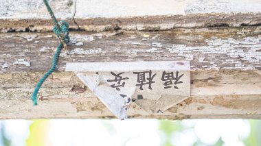 Çöpe atılmış bir parça Mandarin portakal kabuğu muska kağıdı.