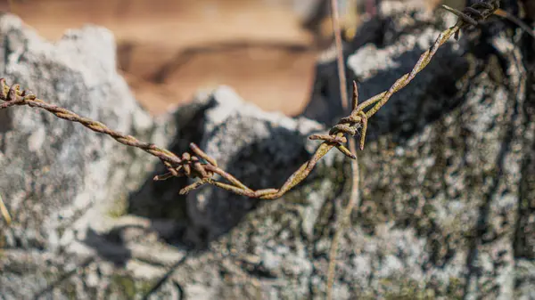 Paslı dikenli tellerin yakın plan fotoğrafı.