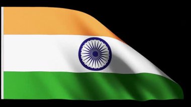 rüzgarda çırpınan Hindistan bayrağı