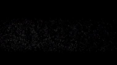 Ürkütücü animasyonlu 'Üye' yarasa şekilli tipografi ile eylem çağrısı şeffaf arkaplan (PNG / MOV). Korku YouTube kanalları, ürkütücü tanıtımlar ve perili içerik markalaşması için mükemmel.