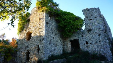 Bitkilerle kaplı terk edilmiş taştan bir evin kalıntıları.