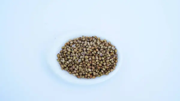 Beyaz arka planda izole edilmiş beyaz kasede kurumuş kişniş tohumlarının düz (üst görünümü) yatıyordu.