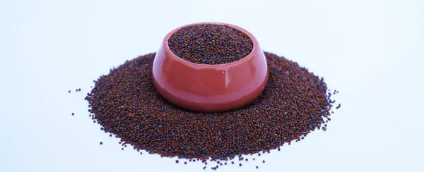 Hardal tohumlarını kapat / Rai veya kahverengi hardal tohumlarını küçük bir tabakta koyu Gotik renklerde beyaz bir yüzeye koy..