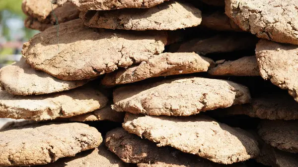 Otantik bir Hint inek gübresi, geleneksel bir kırsal kaynak, yemek pişirme ve ayin için kullanılır, sürdürülebilir yaşamı sembolize eder.