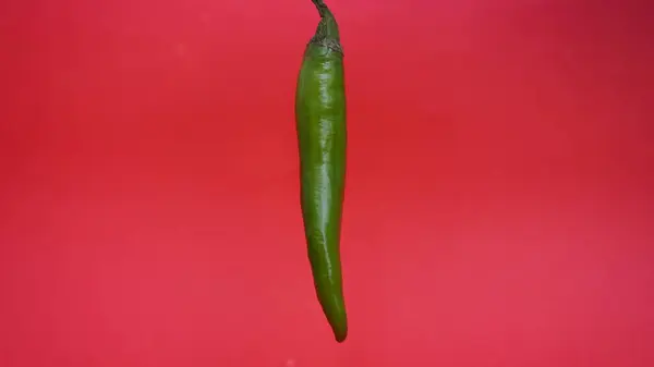 Kırmızı arkaplanda yeşil biber izole edilmiş.