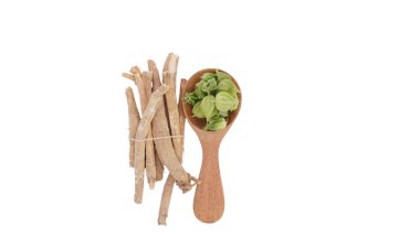 Kök Withania somnifera, halk arasında Ashwagandha, ahşap kaşık, Hint ginsengi, zehirli Bektaşi üzümü veya kış kirazı olarak bilinir..