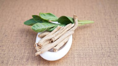 ashwagandha, background, bowl, cherry, dry, fresh, ginseng, bektaşi üzümü, green, herb, Indian, ingredient, isolated, leaf, loose, medical, plant, root, somnifera, white, whole, winter, with ania, wooden, wooden