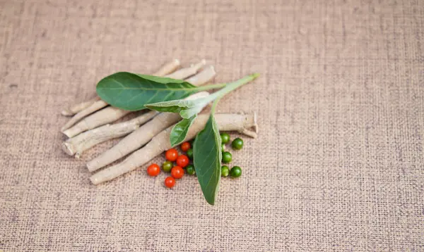 Ashwagandha Kuru Kök Şifalı Bitki ve Taze Yapraklar, Withania Somnifera, Ashwagandha, Indian Ginseng, Poison Gooseberry, veya Winter Cherry olarak da bilinir. Beyaz Arkaplanda İzole Edilmiş.