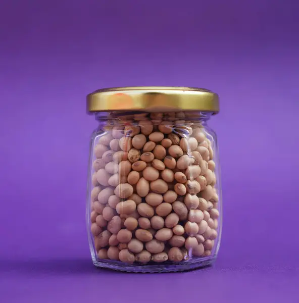 Kurutulmuş soya fasulyesi mor arka planda izole edilmiş.