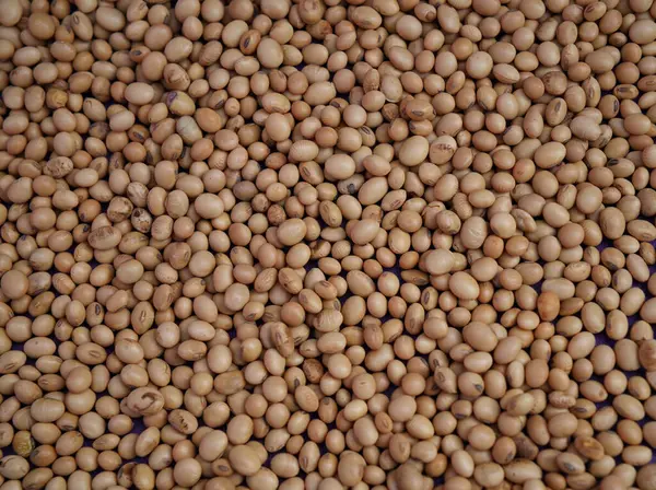 Reklamınız için soya fasulyesi arkaplan görünümünü kapatın