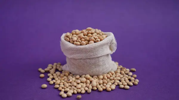 Mor arka planda izole edilmiş çuvaldaki soya fasulyesi.