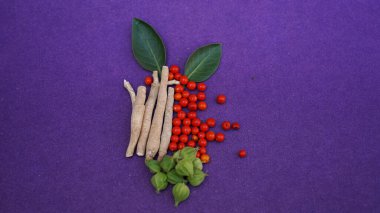 Ashwagandha Kuru Kök ve Taze Yapraklar, Withania Somnifera, Ashwagandha, Indian Ginseng, Poison Gooseberry veya Winter Cherry olarak da bilinir. Mor Arkaplanda İzole Edildi.