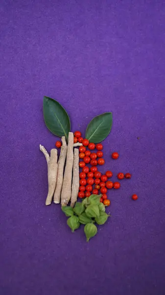 Ashwagandha Kuru Kök ve Taze Yapraklar, Withania Somnifera, Ashwagandha, Indian Ginseng, Poison Gooseberry veya Winter Cherry olarak da bilinir. Mor Arkaplanda İzole Edildi.