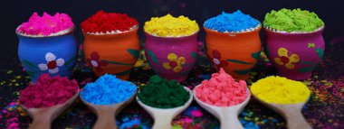 Holi Festivali Kutlaması için Renkli Pudra Pigmentleri