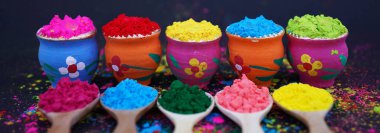 Holi Festivali Kutlaması için Renkli Pudra Pigmentleri