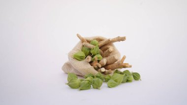 Ashwagandha Kuru Kök Şifalı Bitki ve Taze Yapraklar, Withania Somnifera, Ashwagandha, Indian Ginseng, Poison Gooseberry, veya Winter Cherry olarak da bilinir..