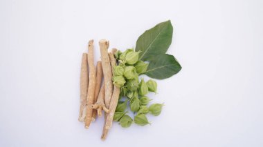 Ashwagandha Kuru Kök Şifalı Bitki ve Taze Yapraklar, Withania Somnifera, Ashwagandha, Indian Ginseng, Poison Gooseberry, veya Winter Cherry olarak da bilinir..