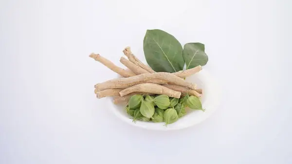 Ashwagandha Kuru Kök Şifalı Bitki ve Taze Yapraklar, Withania Somnifera, Ashwagandha, Indian Ginseng, Poison Gooseberry, veya Winter Cherry olarak da bilinir..