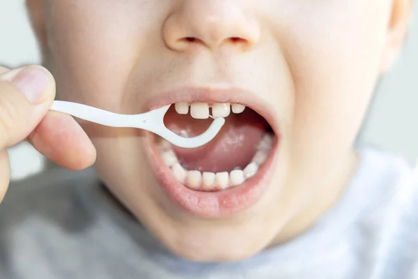 oral health daily hygiene.women or kid using toothpick dental floss or electric toothbrush to clean mouth cavity denture isolated.brush heads isolated