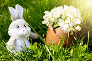 big chocolate egg and soft rabbit bunny toy in green grass sunlight apple tree flowers inside egg.baby boy toddler infant playing on blanket picnic.easter holiday spring is coming bright photo inside