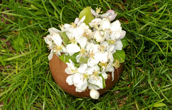 big chocolate egg and soft rabbit bunny toy in green grass sunlight apple tree flowers inside egg.baby boy toddler infant playing on blanket picnic.easter holiday spring is coming bright photo inside