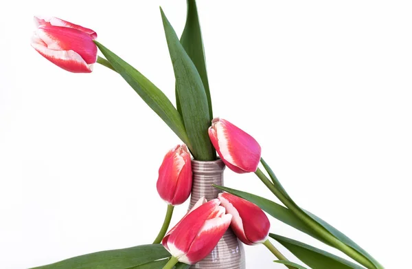 Composição Tulipas Vaso Pequeno Círculo Rosa Mais Flowers Bouquet Isolado — Fotografia de Stock