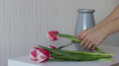 Bebek ayak parmakları battaniyenin altında şampuan banyosu jeli şişesiyle video reklamı çocuk bakımı anne kadın el masajı çocuk ayakları şirin küçük elleriyle ayak parmakları tutan bebek