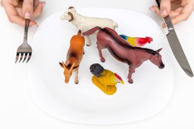 Çiftlik hayvanları plastik oyuncaklar beyaz tabakta ve kadın elleri bıçak ve çatal tutuyor. Et konsepti evcil hayvanlar yiyor. Vejetaryen vejetaryen olmak beslenme şeklidir.