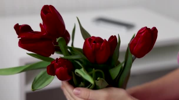 Delikatna Kobieta Tulipany Kwiaty Uśmiech Pieści Ręce Brzuch Brzuch Brzuch — Wideo stockowe