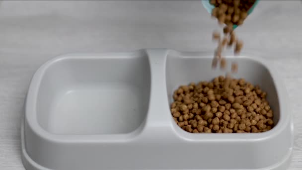 Spada Suche Jedzenie Dla Kotów Miski Kotów Podłodze Małe Kawałki — Wideo stockowe