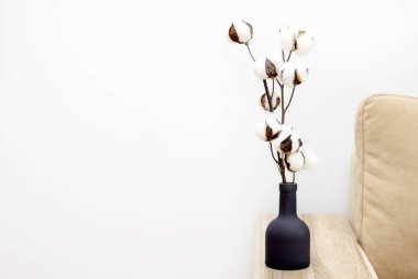 Vazodaki pamuk dalı ev mobilyalarına ya da zemin katmanlarına izole edilmiş güneş ışığı, pencere temizleme topları ev dekorasyonu konsepti, gri kapüşonlu kıyafet. Pencere çerçevesi gölgesi, doğal ışık.