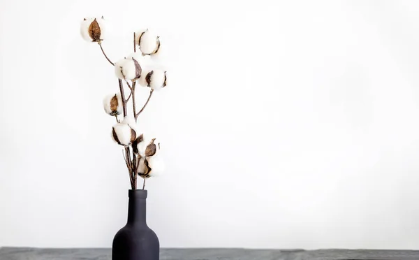Baumwollzweig Der Vase Isoliert Auf Wohnmöbeln Oder Auf Dem Boden — Stockfoto