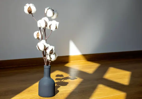 Branche Coton Dans Vase Isolé Sur Les Meubles Maison Sur — Photo