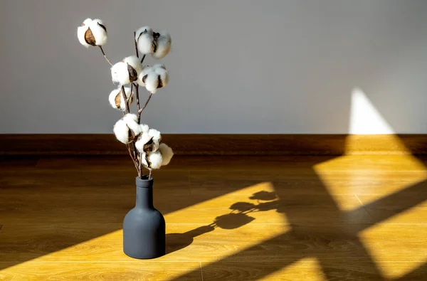 Branche Coton Dans Vase Isolé Sur Les Meubles Maison Sur — Photo